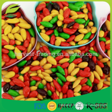 colorful sunflower seed chocolate